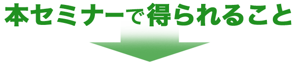 セミナーの内容